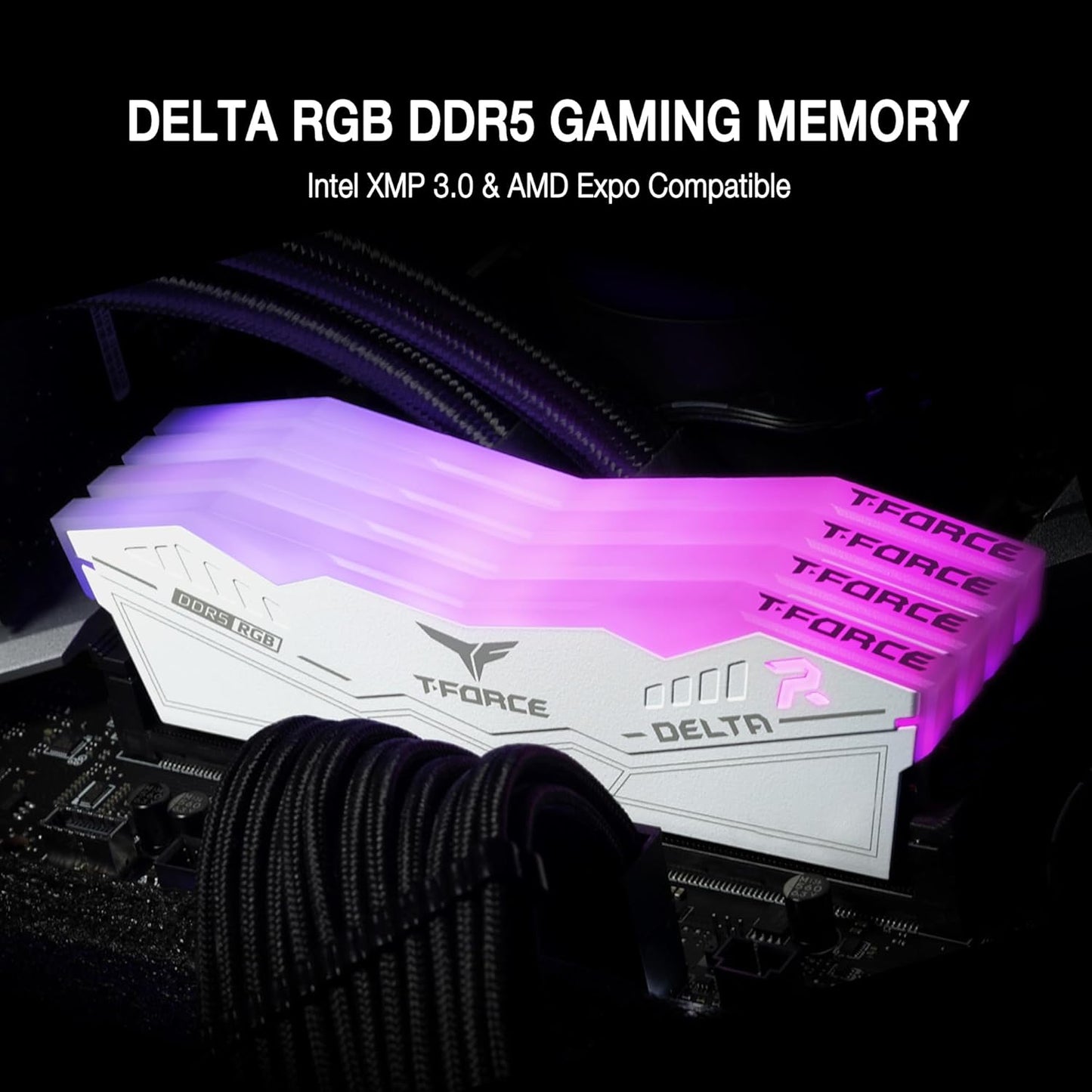 مجموعة ذاكرة سطح مكتب DDR5 من TeamGroup T-Force Delta RGB سعة 32 جيجابايت (2 × 16 جيجابايت)، سرعة 6000 ميجاهرتز، زمن انتقال CL32 CAS، Intel XMP 3.0، جهد 1.20 فولت، غير مخزنة مؤقتًا، 288 سنًا، أسود | FF4D532G6000HC38DC01